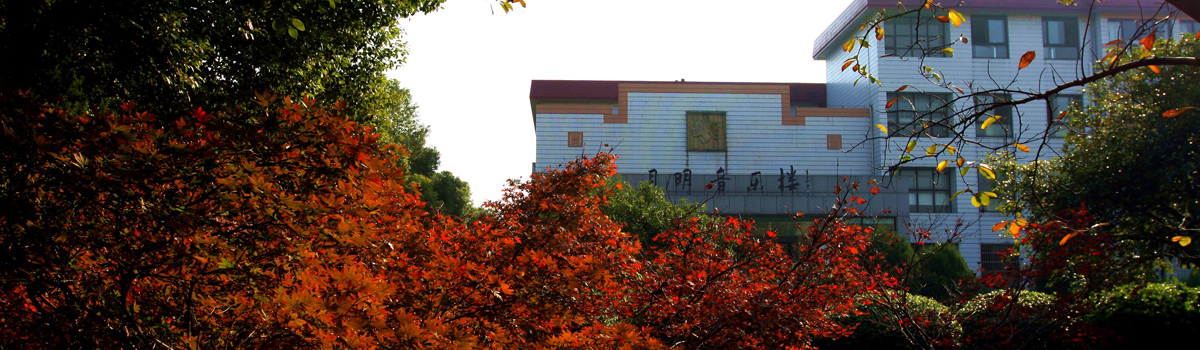 杭州师范大学美术学院